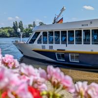 Flusskreuzfahrtschiff MS Manon am Flussufer mit rosa Blüten im Vordergrund. Das weiß-blaue Schiff hat deutsche Flaggen und große Fenster.