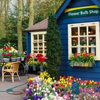 Blauer Holz-Blumenzwiebelladen mit weißen Fenstern, bunte Tulpen und Frühlingsblumen in Eimern draußen, umgeben von blühenden Gärten.