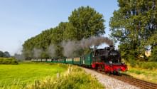 Historic steam locomotive Rasender Roland with green passenger cars traveling through green countryside on Rügen, emitting white smoke.