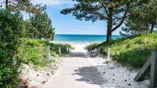Wooden boardwalk through sand dunes with pine trees leading to a sandy beach and turquoise Baltic Sea on Rügen island.
