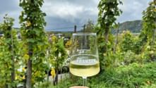Weinprobe an der Mosel Weinprobe an der Mosel