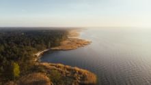 Aerial view of Stettiner Haff with dense forest on the left, golden reed beds along the curved shoreline, and calm blue water on the right.