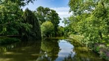 River Landscape Belgium