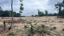 Radtour Nationalpark De Hoge Veluwe
