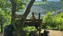 Wanderer sitzt auf Holzbank am Aussichtspunkt Friedland Blick mit Blick auf Talstadt zwischen Koblenz und Braubach. Rucksäcke liegen neben der Bank unter Bäumen.