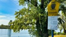 Yellow National Park sign with owl symbol and information board beside a large tree near a river in the Odertal region along the Oder-Neisse cycle path.