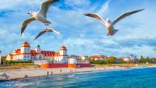 Three seagulls flying over the Baltic Sea beach of Binz on Rügen Island. White historic spa buildings with red roofs line the sandy shore.