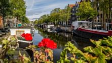 Amsterdamer Gracht gesäumt von Hausbooten und historischen Gebäuden. Rote Geranien blühen im Vordergrund, grüne Bäume rahmen die Wasserstraße.