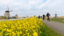 Kinderdijk Kinderdijk
