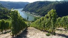 Rheingau Rheingau