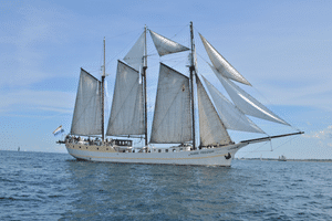 White three-masted sailing ship Mare Frisium with gray sails on calm blue water under clear sky, flying the Dutch flag.