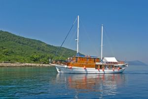 MS MIRABELA