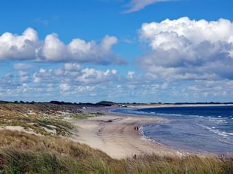 Malerischer Küstenblick bei Neeltje Jans mit Sandstrand, Dünen mit Gras, blauem Meer mit weißen Wellen und dramatischem Himmel.