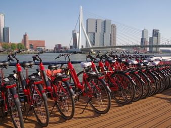 Reihe roter Leihfahrräder auf Holzsteg mit Erasmusbrücke und Rotterdamer Skyline im Hintergrund unter blauem Himmel.
