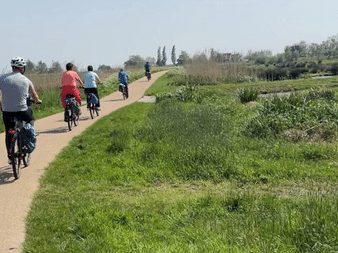 Group of cyclists riding on a paved path through lush green meadows with water channels and trees in the distance under clear sky.
