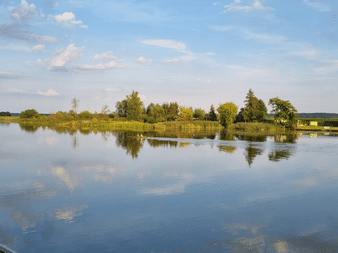 Ruhiger Fluss mit kleiner bewaldeter Insel in der Mitte. Bäume und Schilf säumen das Ufer unter blauem Himmel mit weißen Wolken.