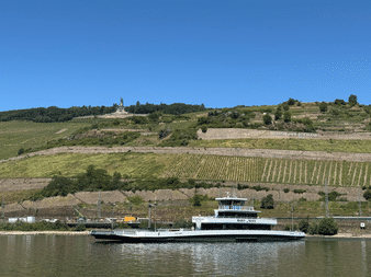 Weiße Personenfähre auf dem Rhein mit terrassierten Weinbergen und 'Rüdesheimer Gottland' Schriftzug am Hang. Kirche auf Hügelkuppe unter klarem Himmel.