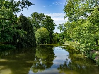 Ruhiger Fluss durch üppigen grünen Wald in Belgien mit überhängenden Weiden und dichter Vegetation, die sich im Wasser spiegelt.