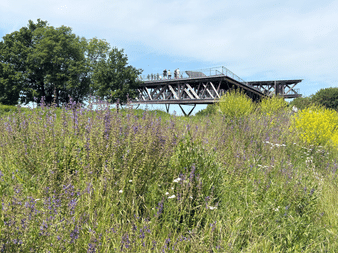 Metallaussichtsplattform in Ehrenbreitstein mit Besuchern, erhöht über einer bunten Wildblumenwiese mit lila und gelben Blüten unter blauem Himmel.