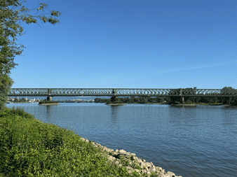 Stahlfachwerkbrücke über den Rhein in Mainz mit grüner Vegetation am Flussufer und klarem blauen Himmel darüber.