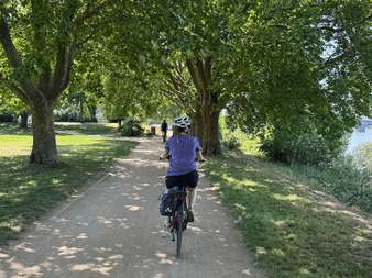 Radfahrer auf baumgesäumtem Weg am Rhein bei Mainz. Grüne Wiesen und Fluss an sonnigem Tag sichtbar.