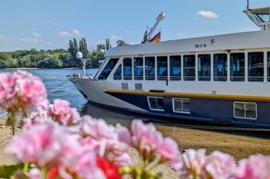 Flusskreuzfahrtschiff MS Manon am Flussufer mit rosa Blüten im Vordergrund. Das weiß-blaue Schiff hat deutsche Flaggen und große Fenster.