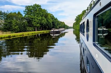 White cruise ship MS Princess sailing on calm Oder River surrounded by lush green trees under blue sky with white clouds.