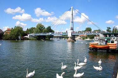 Weiße Schrägseilbrücke über einen See in Nikolaiken mit weißen Schwänen im Wasser und orangefarbenen Booten am Ufer unter blauem Himmel.