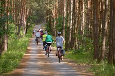 Gruppe von Radfahrern auf einem asphaltierten Waldweg, gesäumt von hohen Bäumen. Die Fahrer tragen bunte Kleidung und Helme auf dieser Route.