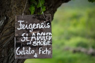 Eiscreme-Schild in der Kvarner Bucht Holzschild hängt am Baumstamm und bewirbt Eissorten auf Kroatisch. Text lautet 'Feigeneis SLADOLED od SMOKVE Gelato Fichi'.