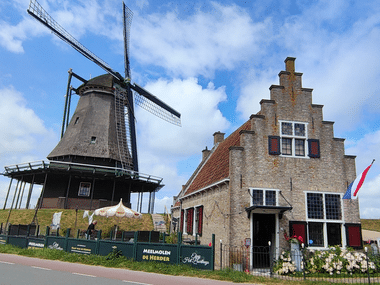 Traditionelle niederländische Mühle De Herder neben einem historischen Treppengiebel-Haus in Medemblik unter blauem Himmel mit weißen Wolken.