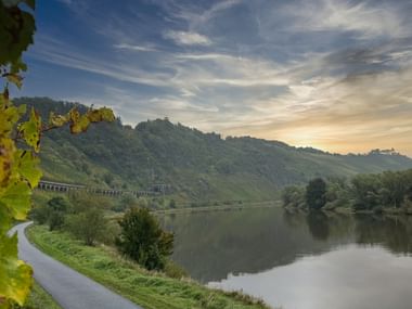 Scenic view of the Mosel River 