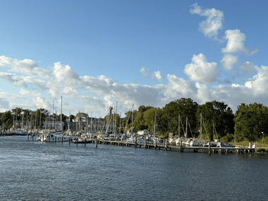 Hafen in Lauterbach mit Holzstegen und vertäuten Segelbooten. Grüne Bäume säumen das Ufer unter blauem Himmel mit weißen Wolken.