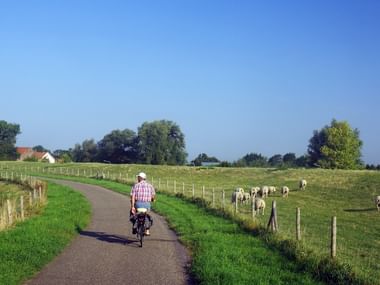 Cycling through Zeeland
