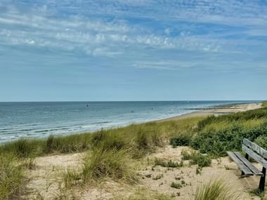 Küstenlandschaft mit grasbewachsenen Sanddünen, einer Holzbank und einem breiten Strand entlang der Nordsee bei Vlissingen, Holland.