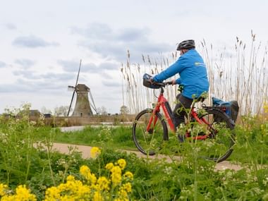 Radfahrer in blauer Jacke auf rotem Tourenrad mit Taschen, pausiert auf Weg nahe traditioneller holländischer Windmühle. Gelbe Blumen sichtbar.