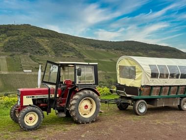 Planwagenfahrt durch die Zeller Weinberge