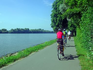 Cycle path along the Rhine near Mainz