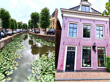 Gracht mit Seerosen in Franekers Altstadt, gesäumt von Bäumen und parkenden Autos. Rosa historisches Haus mit schwarzer Tür und weißen Fenstern steht neben der Gracht.