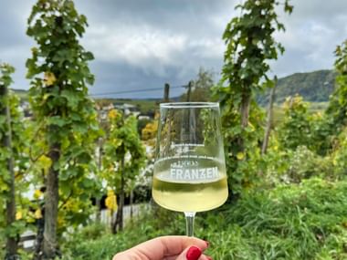 Wine tasting in Piesport