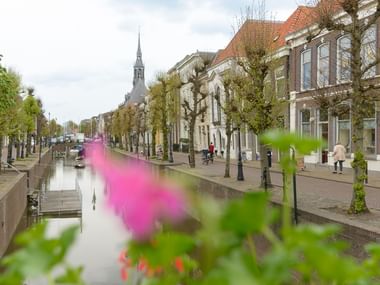 Canal street in Schoonhoven with historic buildings, church spire, and pink flowers in foreground. People walk along cobblestone street.
