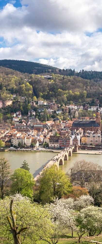 Heidelberg