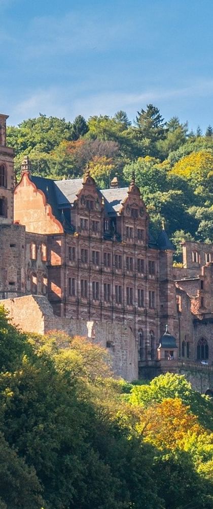 Historic Heidelberg Castle ruins with red sandstone walls and round tower, surrounded by lush green forest under blue sky with white clouds.