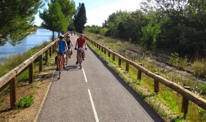 Gruppe von Radfahrern auf einem asphaltierten Weg mit Holzgeländer entlang eines Flusses in Frankreich, umgeben von üppigen grünen Bäumen.