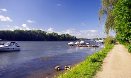 Gepflasterter Radweg am Rhein bei Eltville mit Booten am Yachthafen, grüne Bäume säumen das Flussufer unter blauem Himmel mit Wolken.