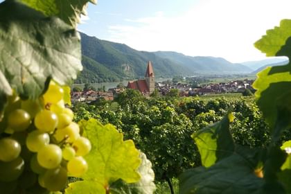 Weinreise an der Donau, MS PRINZESSIN KATHARINA