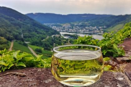 Wein & Wandern an der Mosel, MS SE-MANON