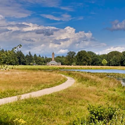 Winding path through golden grassland in Veluwe National Park with a historic tower visible among dense forest under blue sky with clouds.