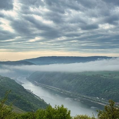 Blick auf den Rhein