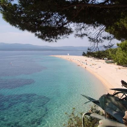 Luftaufnahme des Golden Horn Strandes auf Brač mit türkisfarbenem Wasser, weißer Sandhalbinsel und Pinien im Vordergrund. Berge in der Ferne.